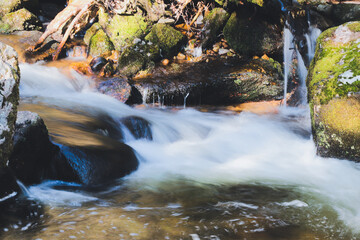 waterfall in the forest