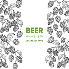 Hops sketch illustration. Hand drawn design with hops. Beer ingredients vector illustration