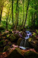 Fototapeta na wymiar Mountain waterfall in spring forest