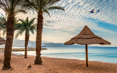 Morning at sandy beach of the Red Sea, Middle East