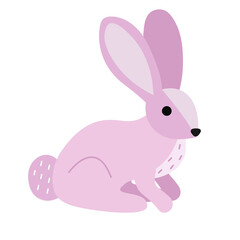 Cute rabbit isolated on white background