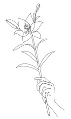 Silhouette of a flower in the hand of a man. Lily on stem and leaves in modern trendy style with one line. Solid line, outline for decor, posters, stickers, logo. Vector illustration.