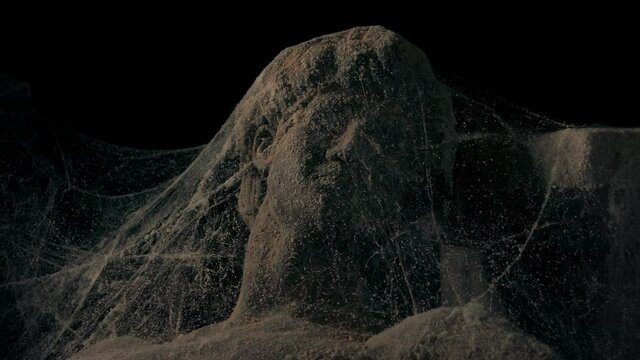 Head Of Ancient Greek Statue Under Dusty Cobwebs