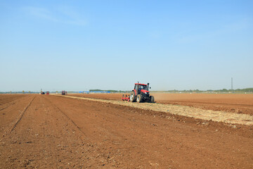 Obraz premium Farmers use planters to grow Plastic Mulched peanuts.