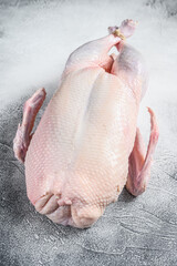 Raw whole duck, poultry meat. White background. Top view