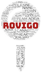 Rovigo and related concepts illustrated in a wordcloud shape like a map-pin over a white opaque background.