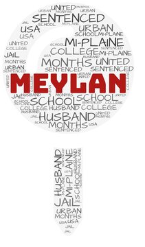 Meylan and related concepts illustrated in a wordcloud shape like a map-pin over a white opaque background.