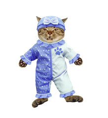 A beige kitten dressed in a blue bodysuit baby. White background. Isolated.