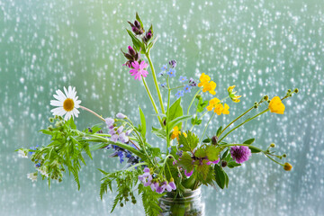 Wild spring flowers in a jar in front of a window with rain drops