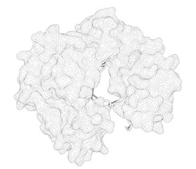 3D rendering as a line drawing of a molecule. Role of polymerase beta in complementing aprataxin deficiency during abasic-site base excision repair.