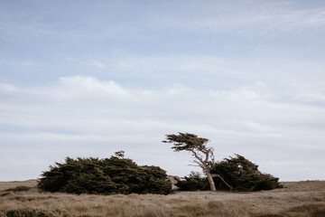 Ocean sea side landscape and clouds