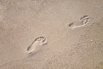 Fototapeta na wymiar bare human footprints on a wet sandy beach