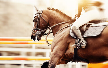 Equestrian sport. The leg of the rider in the stirrup, riding on a horse.
