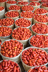Romano, plum tomatoes for sale at a farmers market by the pack or bushel.
