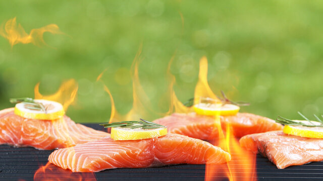 5 181 Best Flamed Salmon Images Stock Photos Vectors Adobe Stock