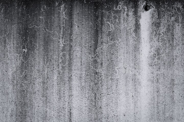 Dark wall with traces of leaks and fungus