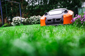 Lawn robot mows the lawn. Robotic Lawn Mower cutting grass in the garden. - 434426041