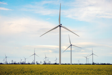 Blooming yellow canola field with wind turbines in the background in the countryside