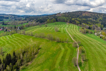 Lush green spring hilly landscape with rural fields and road with alley of trees