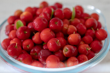 Acerola