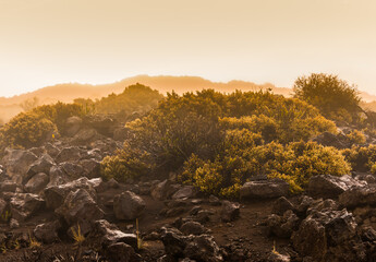 Misty Clouds Moving Into Haleakala Crater, Haleakala National Park, Maui, Hawaii, USA