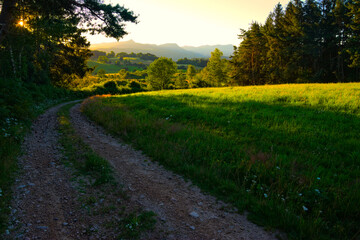 Fototapeta premium Chemin au bord d'un près au lever du soleil