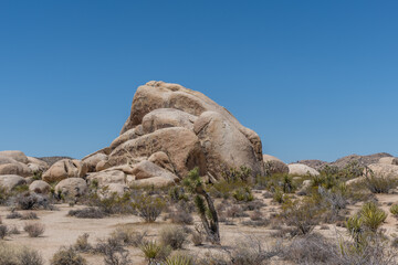 Fototapeta na wymiar Scenic rock formation at the Joshua Tree National Park, Southern California