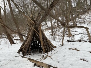 winter in the forest