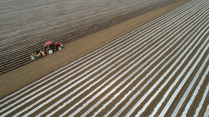 Farmers driving agricultural machinery to plant Plastic Mulched peanuts, North China Plain