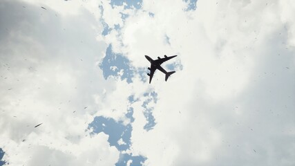 plane in the sky