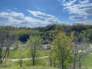 landscape with trees and sky
