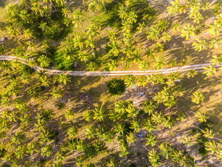 aerial views from tayrona park, santa marta colombia