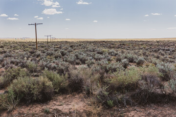 The Old Route 66 covered in brush and lined with the old telephone poles