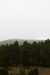 fog in the mountains