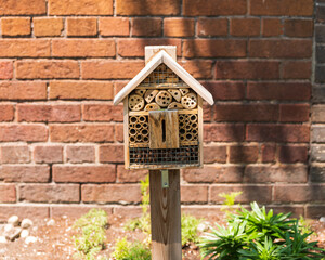 Pollinator bee house in a residential flower bed., photographed in the  Toronto Beaches neighbourhood in spring.