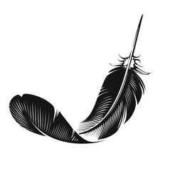 black and white feather