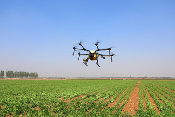 A farm drone sprays medicine on farmland, North China