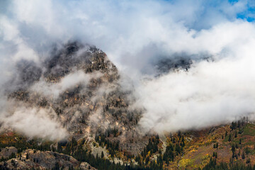 dramatic snow capped jagged peaks of Grand teton mountains surrounded by vibrant autumn foliage of aspen and birch trees in Wyoming.