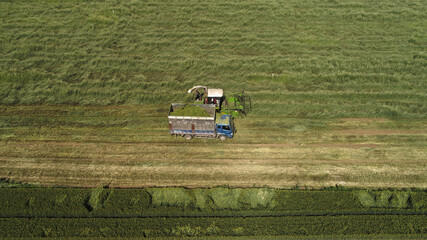 Fototapeta na wymiar Farmers use harvesters to harvest oats in a field, North China
