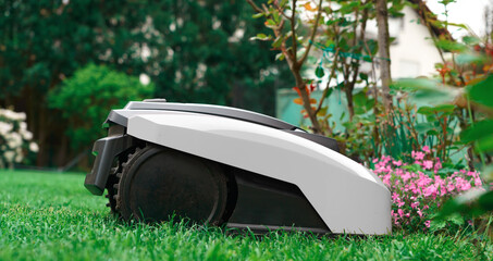 Lawn robot mows the lawn. Robotic Lawn Mower cutting grass - 434452839
