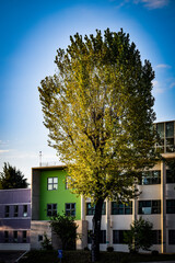 韓国、大邱大学とその周辺を散策する