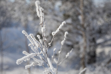 Icicles