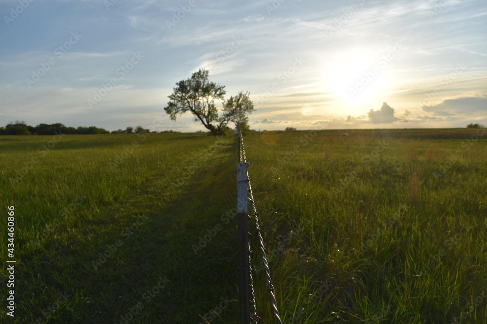 Sticker fence row sunset