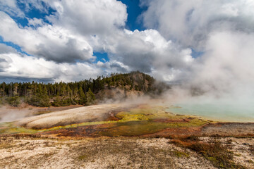 steaming hot springs and pools in the Lower Geyser Basin in Yellowstone National Park in Wyoming.