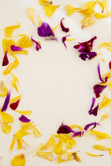 Dried flower petals of yellow and purple create a circle frame; Circle opening among scattered...