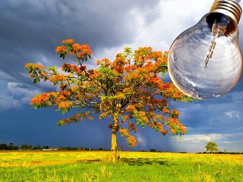 Projetos para a sustentabilidade e energia limpa