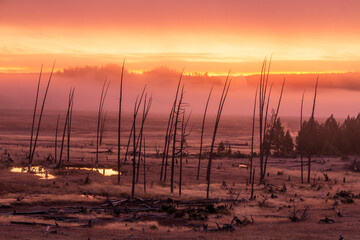dramatic fiery autumn dawn in Yellowstone's Lower Geyser basin.