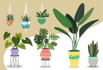 Potted plant hand drawn collection