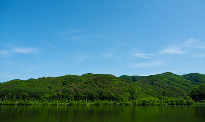 한국 여름의 산과 호수, 녹색, 환경 