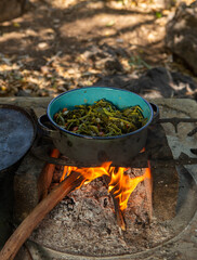 quelites a la leña, Mexican country food